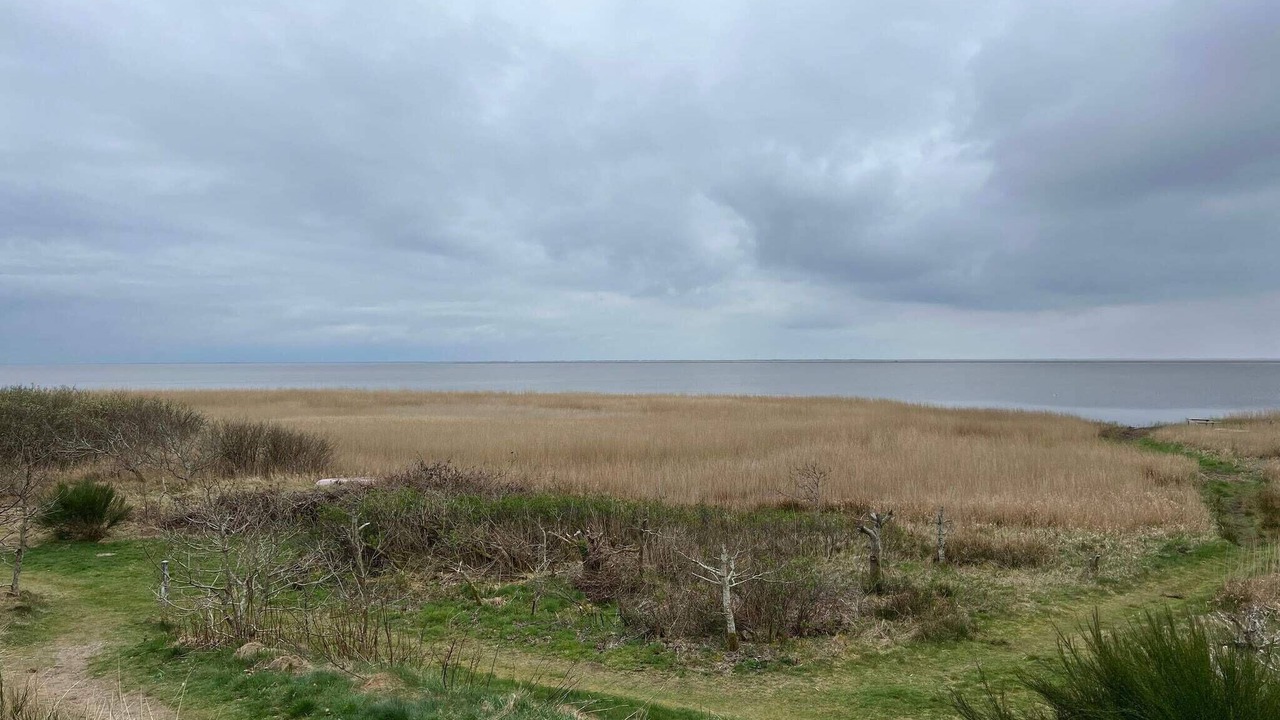 Photo of Outdoor in Skjern