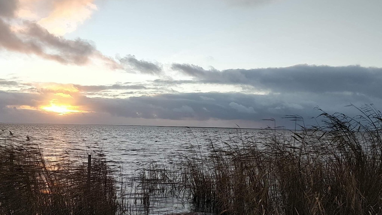 Photo of Others in Skjern