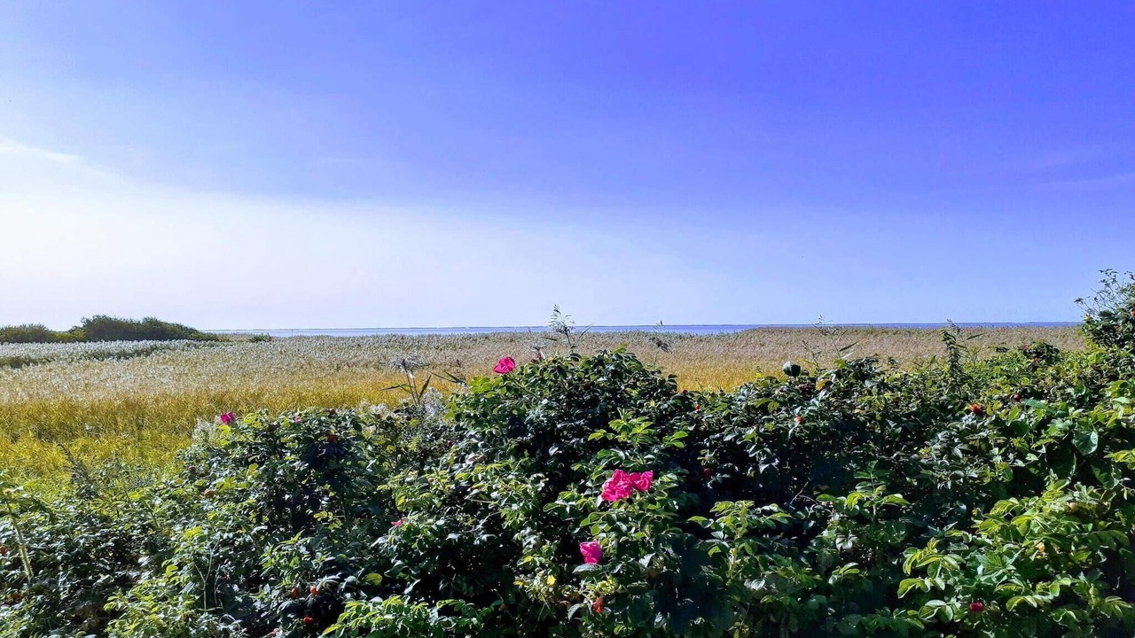 Photo of Outdoor in Skjern