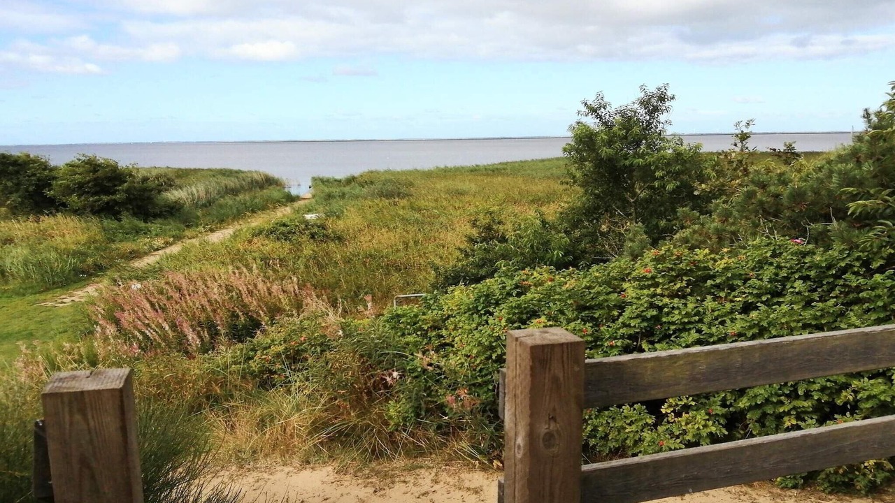Photo of Outdoor in Skjern
