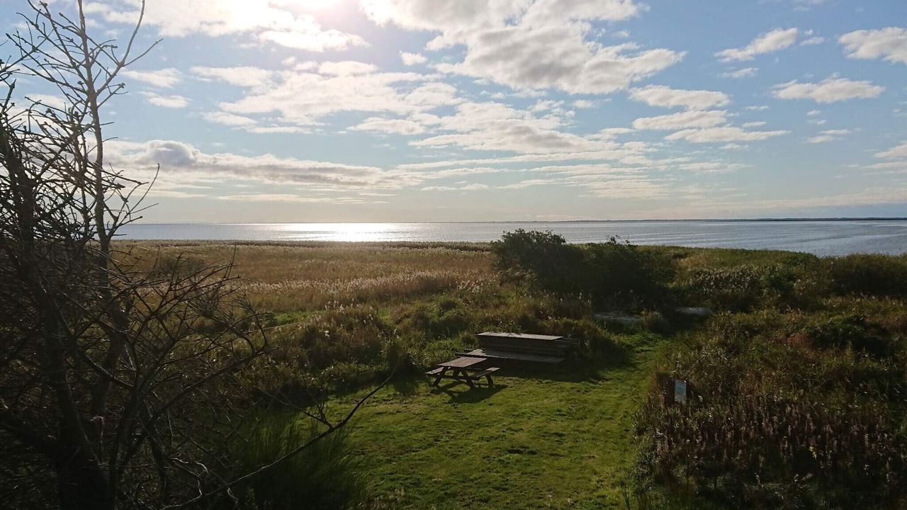 Photo of Outdoor in Skjern