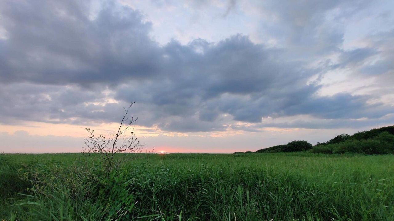 Photo of Outdoor in Skjern