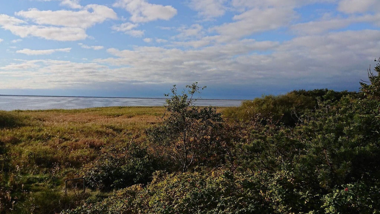 Photo of Outdoor in Skjern