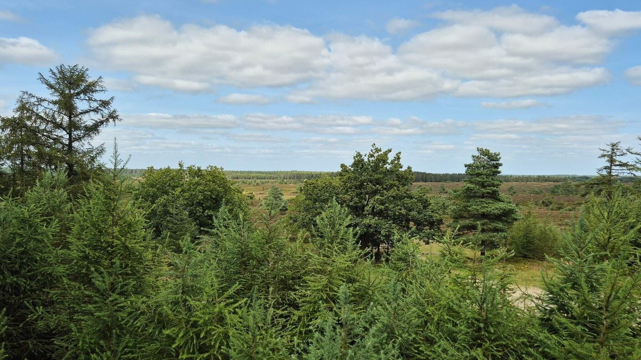 Photo of Others in Hovborg