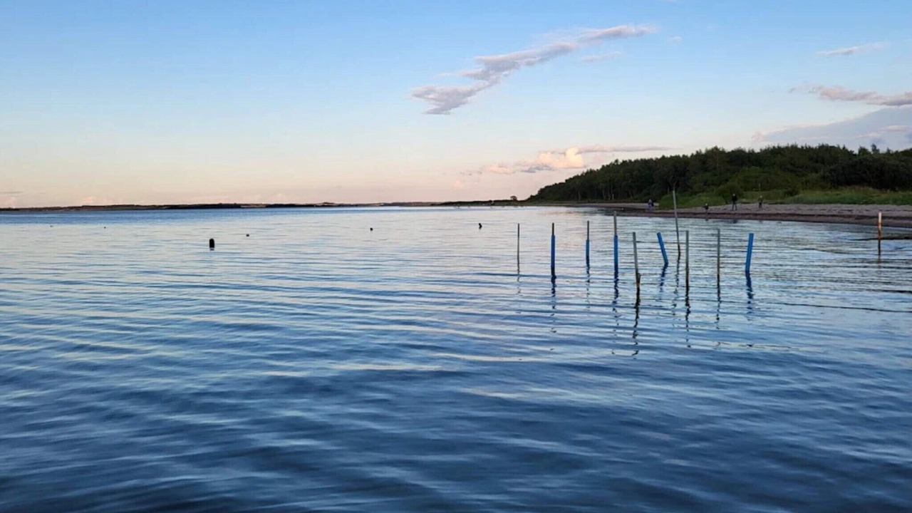 Photo of Others in Roslev