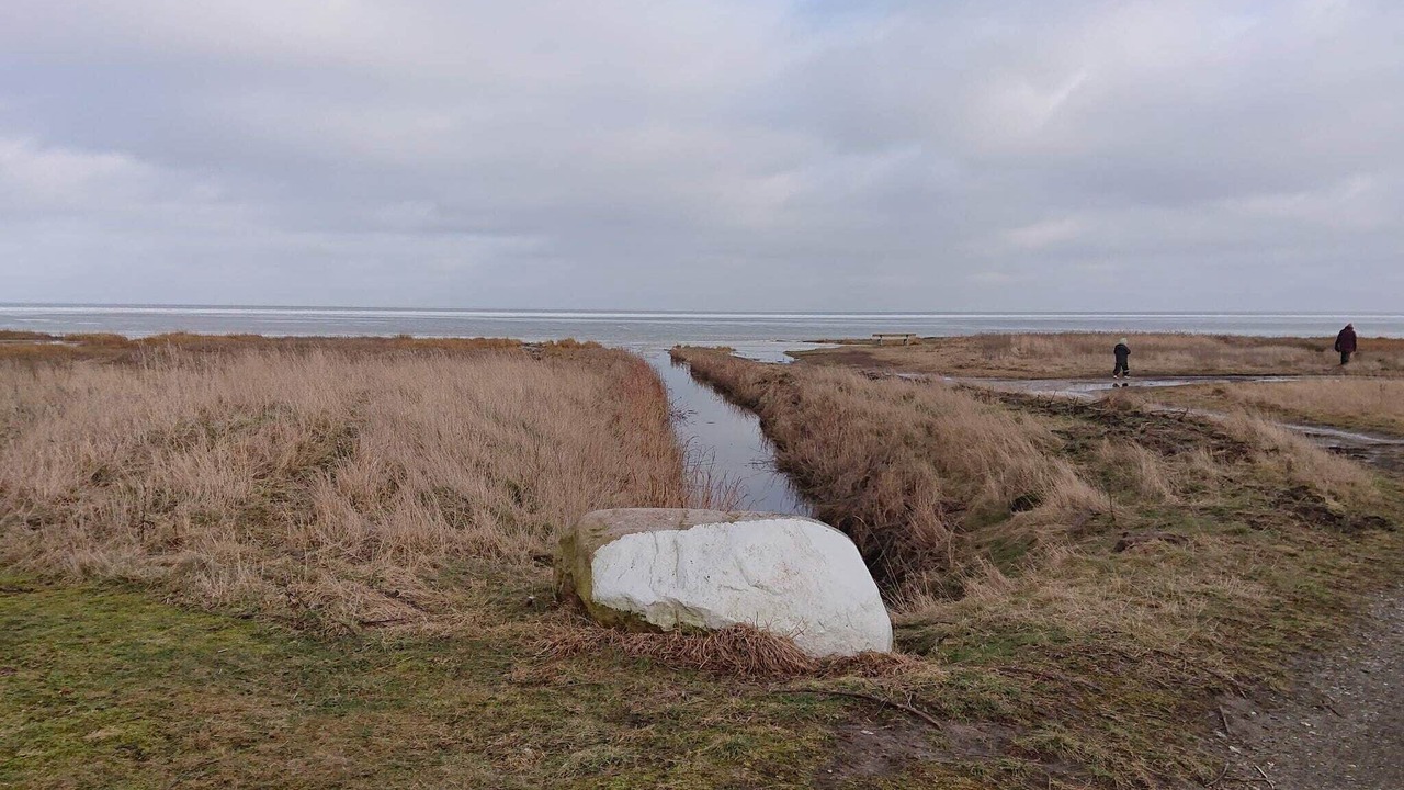 Photo of Others in Ørsted
