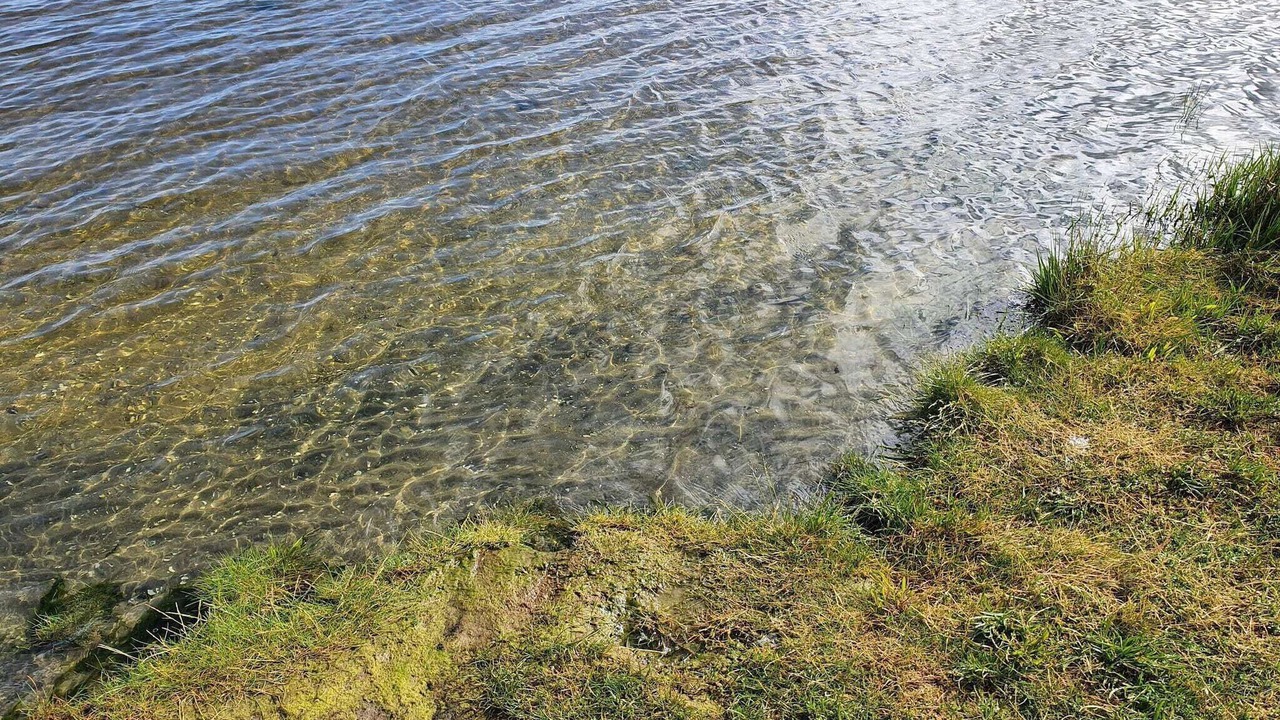 Photo of Others in Ørsted