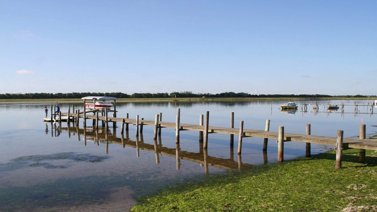 Photo of Others in Odde