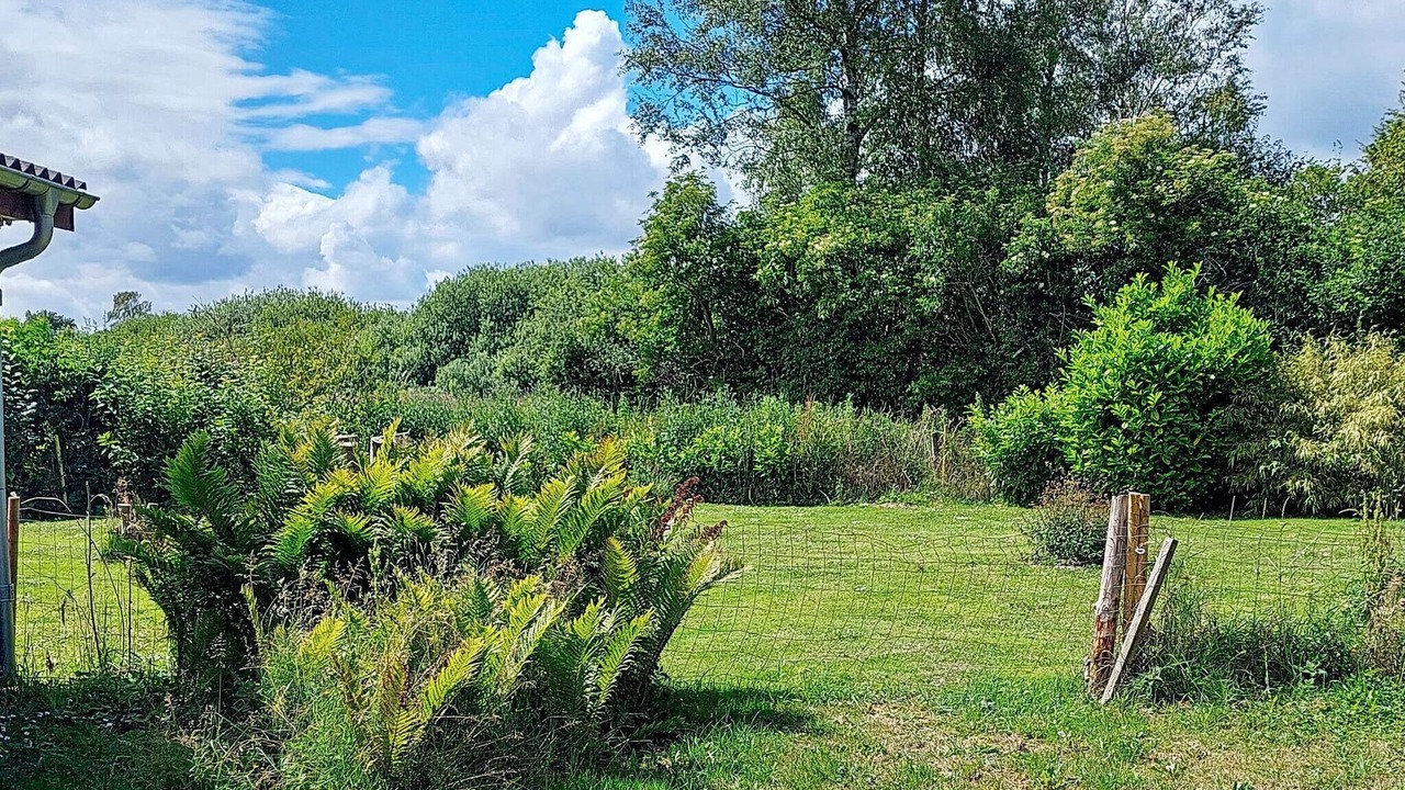 Photo of Outdoor in Hou