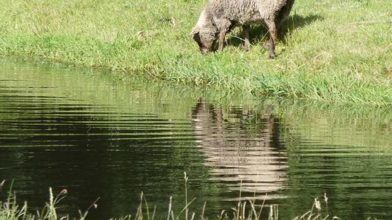 Photo of Others in Hovborg