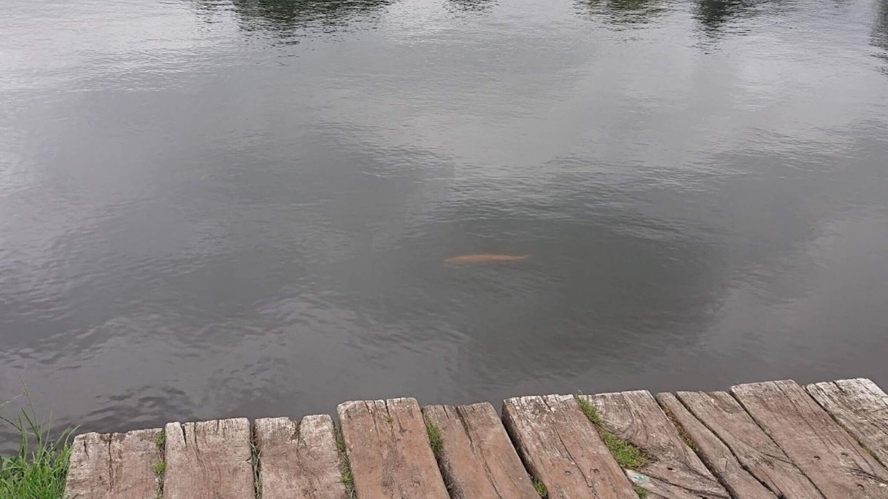 Photo of Others in Hovborg