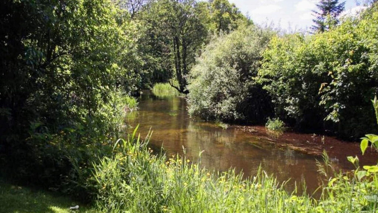 Photo of Others in Hovborg