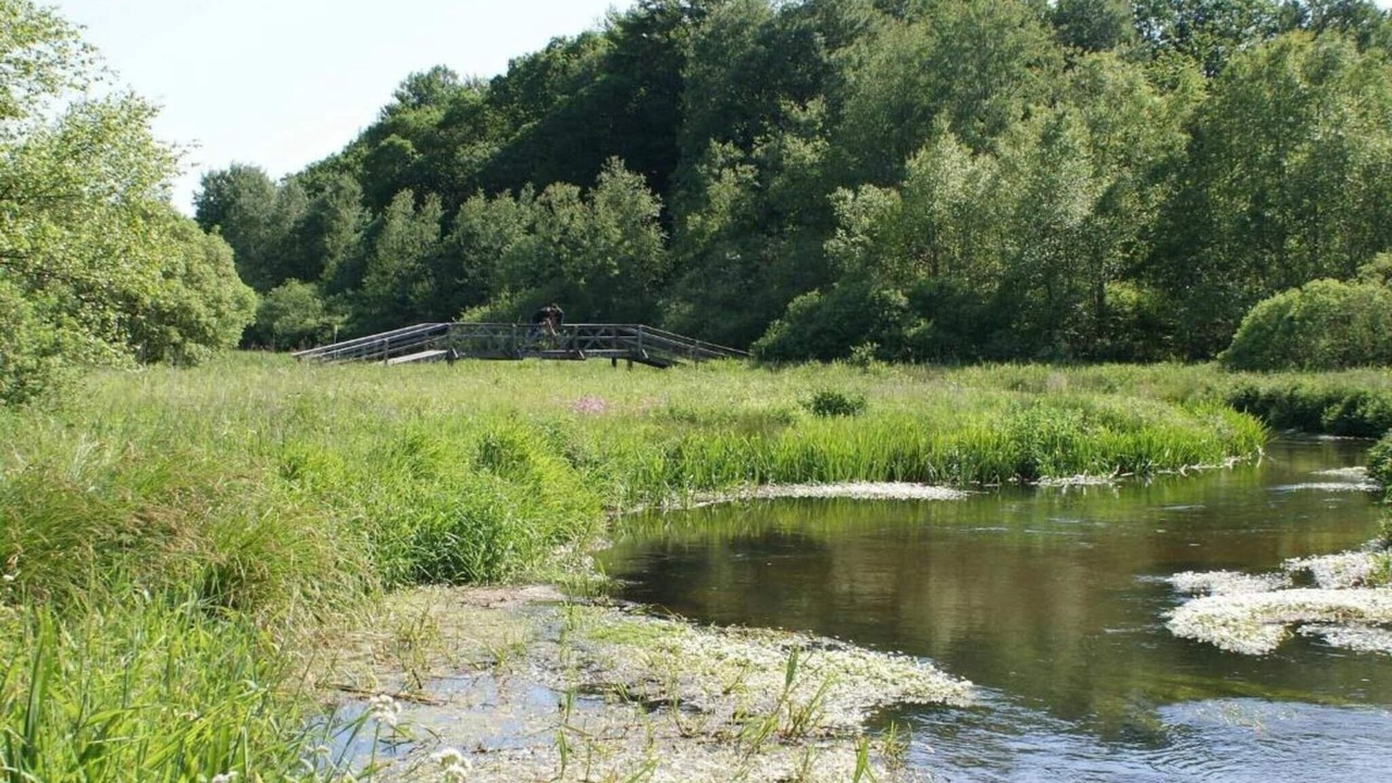 Photo of Others in Hovborg