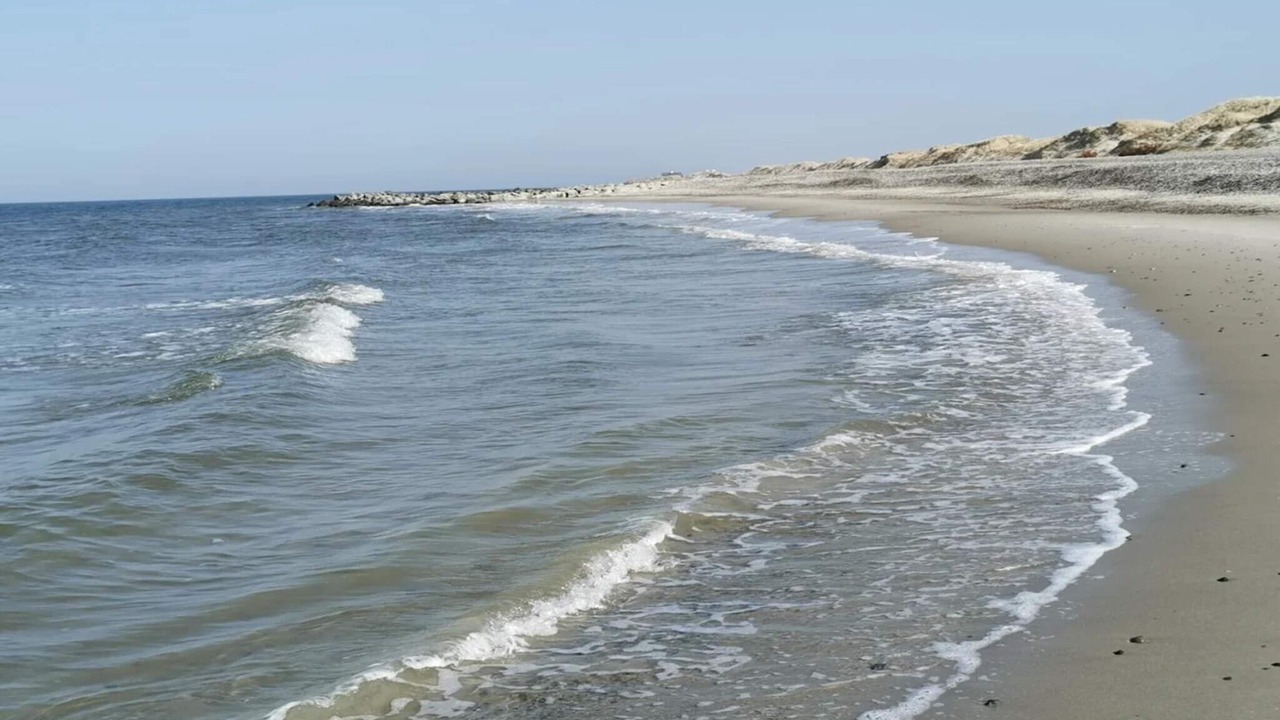 Photo of Others in Skagen