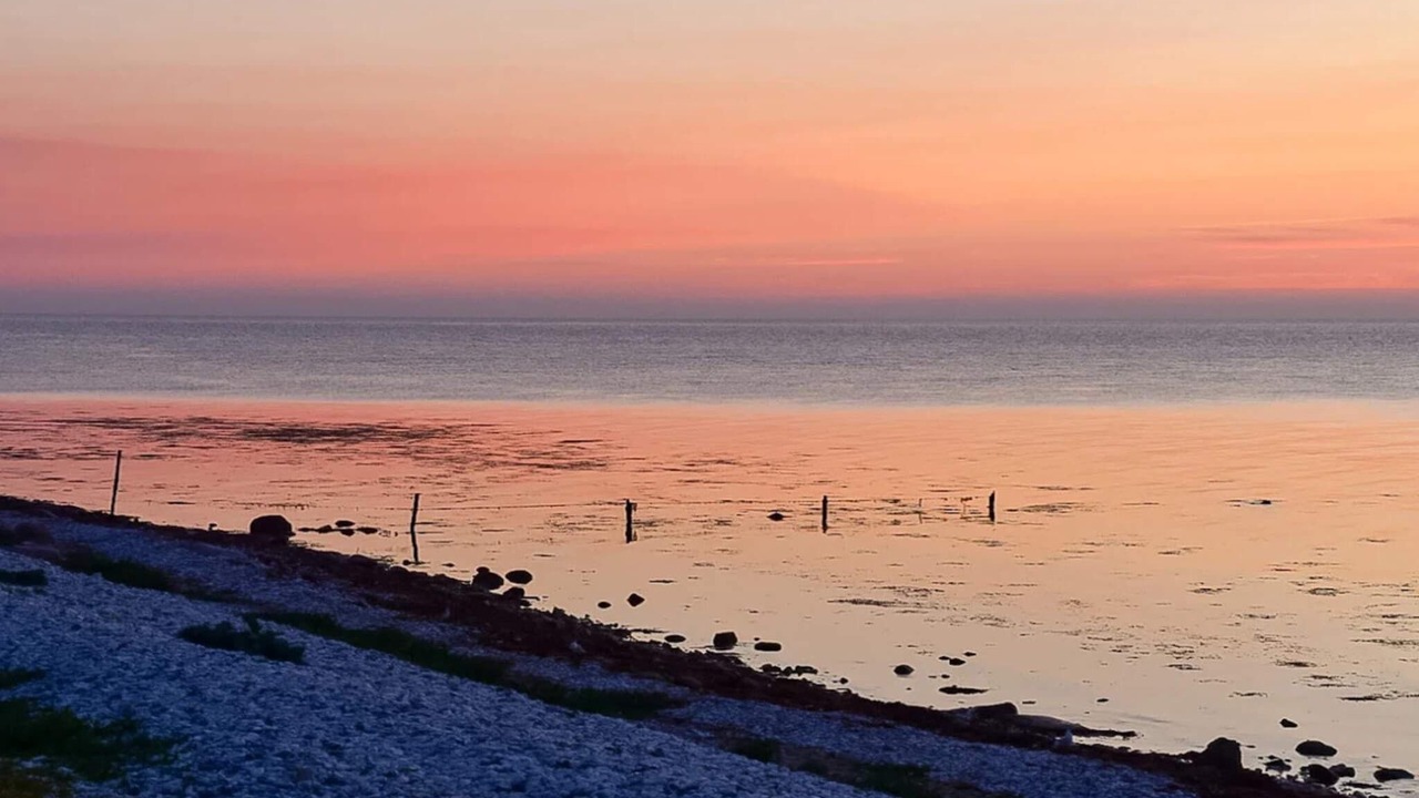 Photo of Others in Grenaa