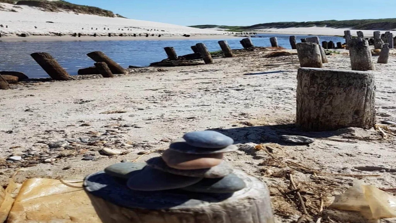 Photo of Others in Henne Strand