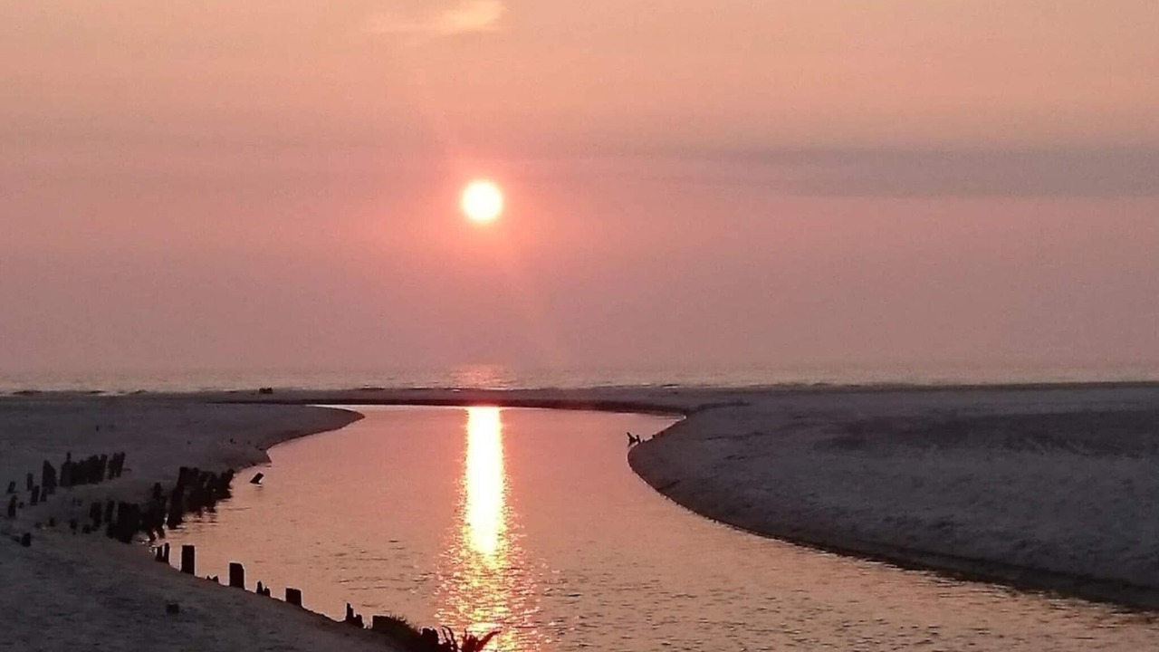 Photo of Others in Henne Strand