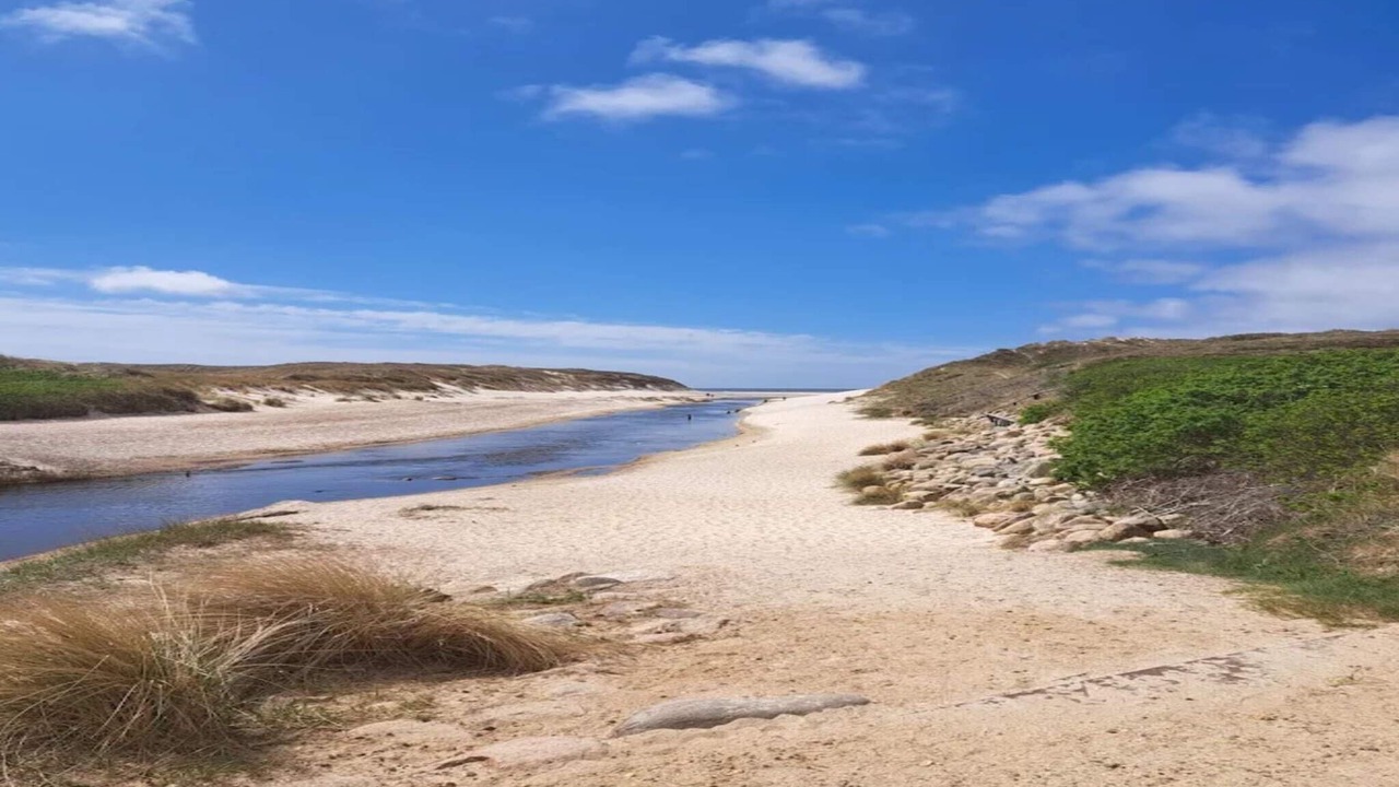 Photo of Others in Henne Strand