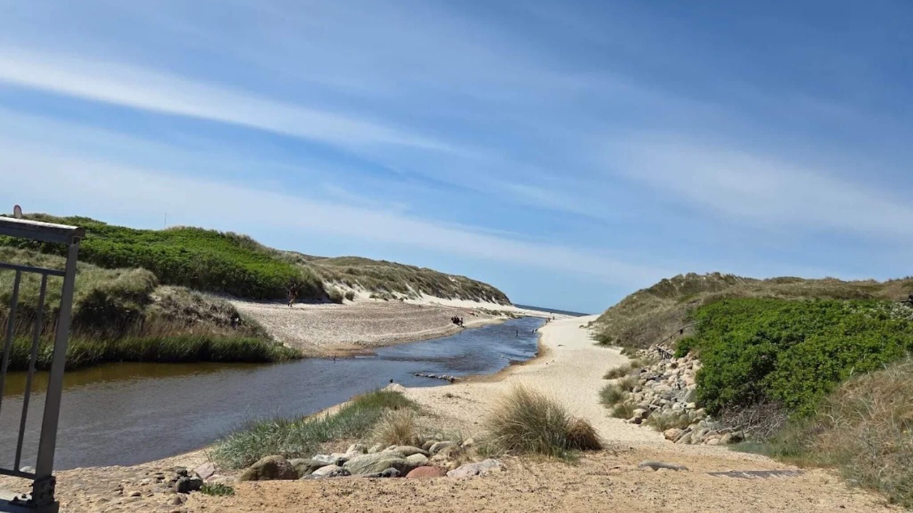 Photo of Others in Henne Strand