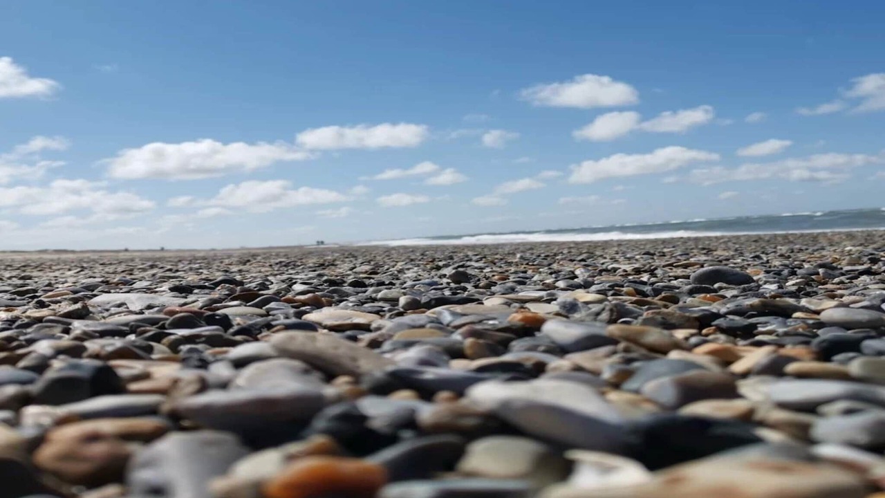 Photo of Others in Henne Strand