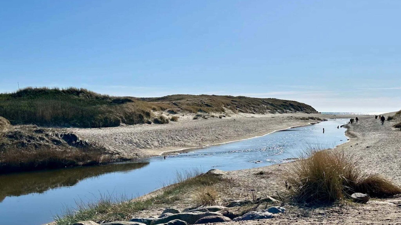 Photo of Others in Henne Strand