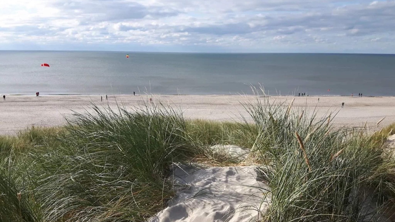 Photo of Others in Henne Strand