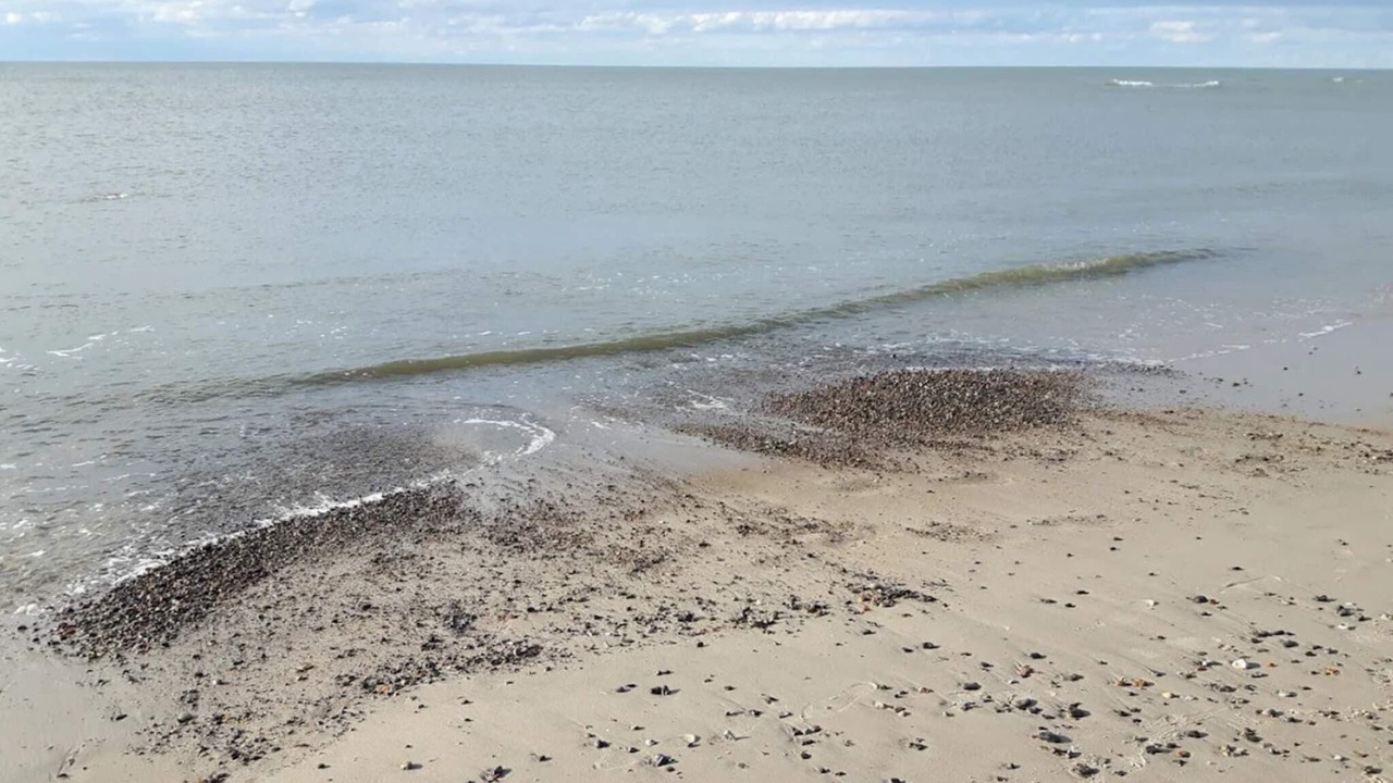 Photo of Others in Henne Strand