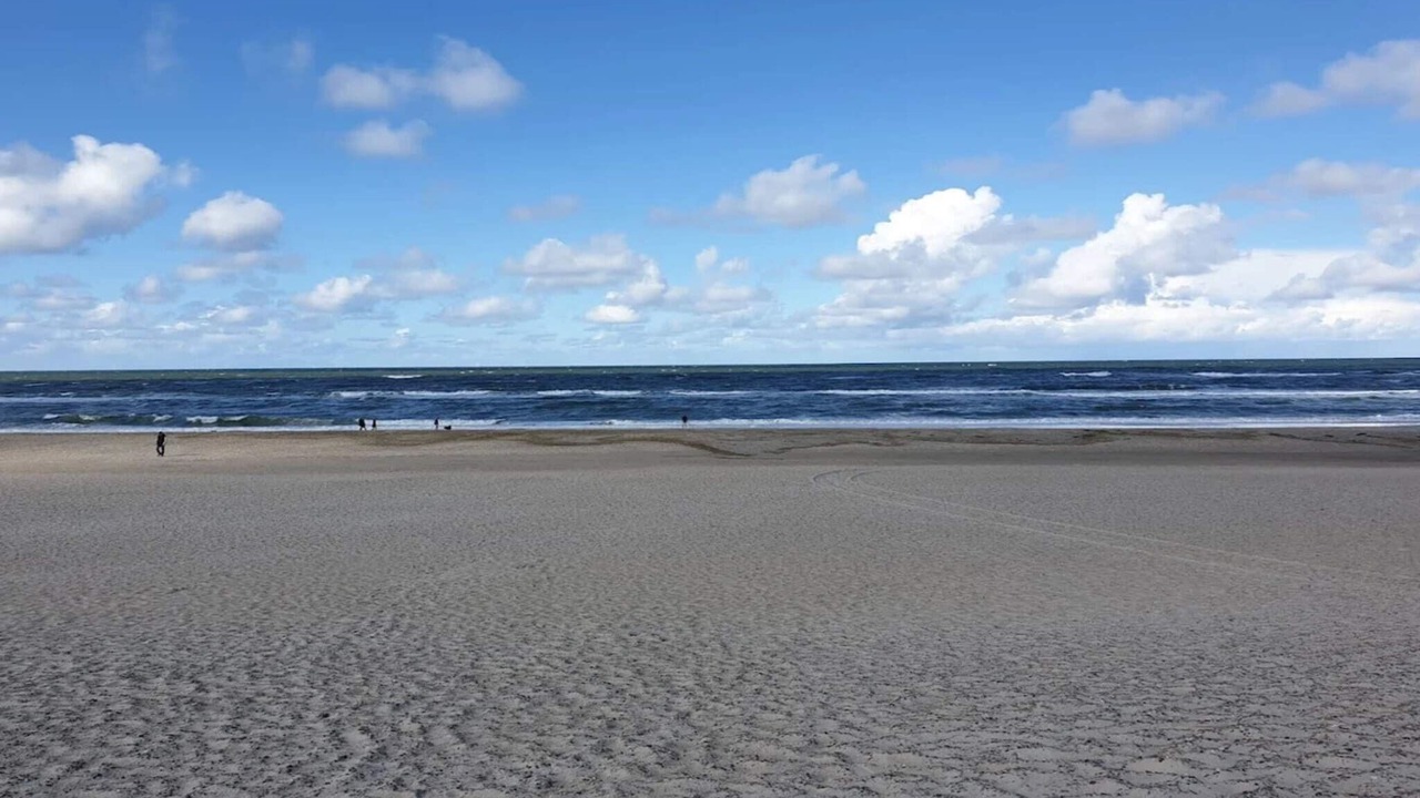 Photo of Others in Henne Strand
