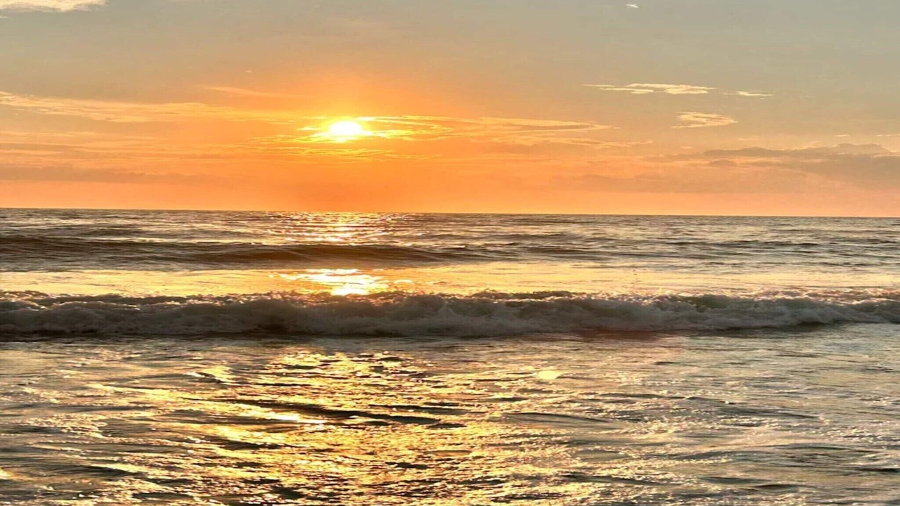 Photo of Others in Henne Strand