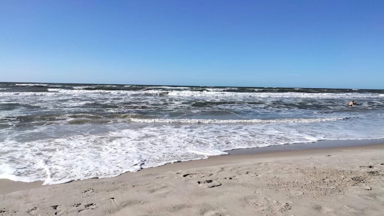 Photo of Others in Henne Strand