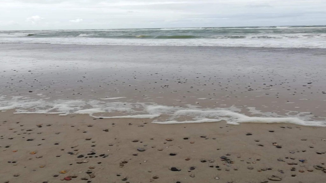 Photo of Others in Henne Strand
