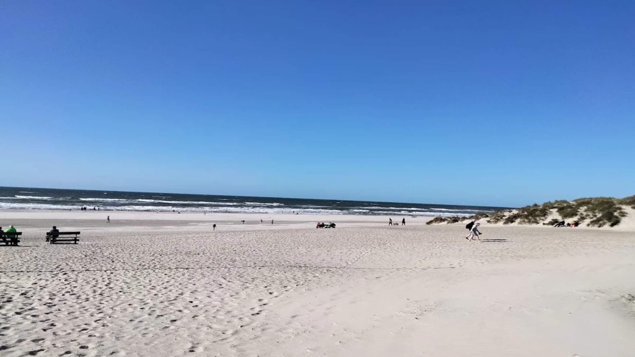 Photo of Others in Henne Strand