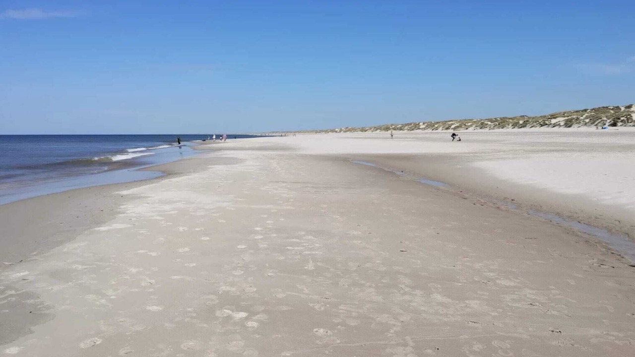 Photo of Others in Henne Strand
