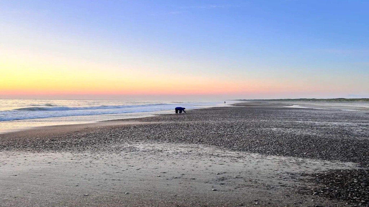 Photo of Others in Henne Strand