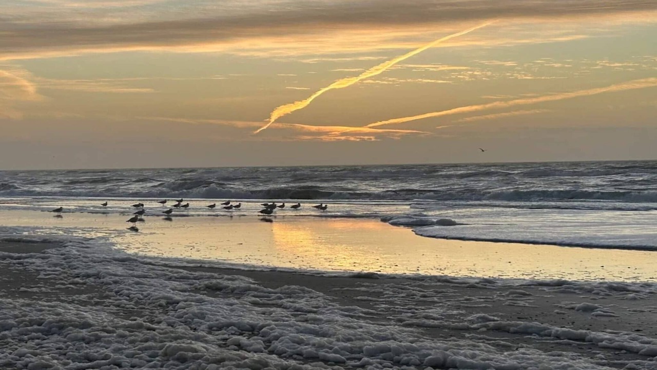 Photo of Others in Henne Strand