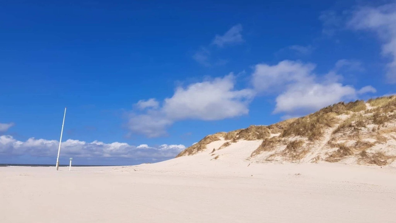 Photo of Others in Henne Strand