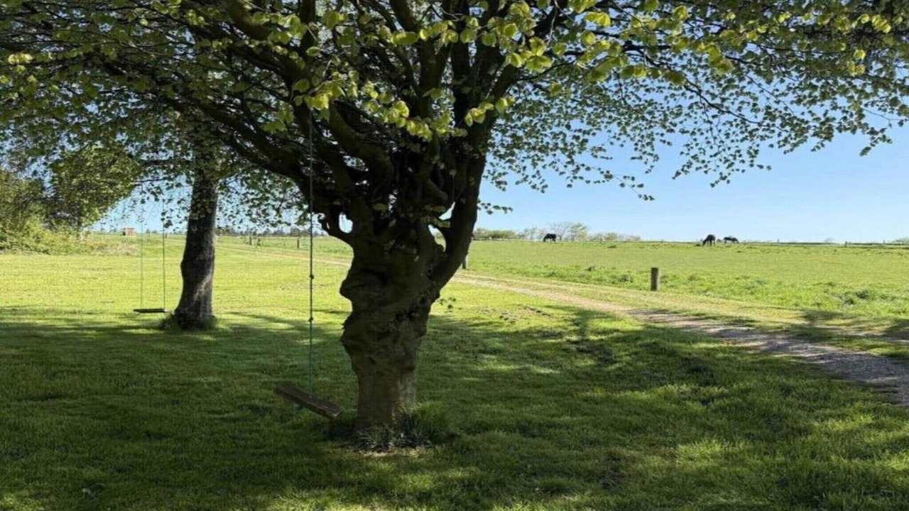 Photo of Others in Bedsted