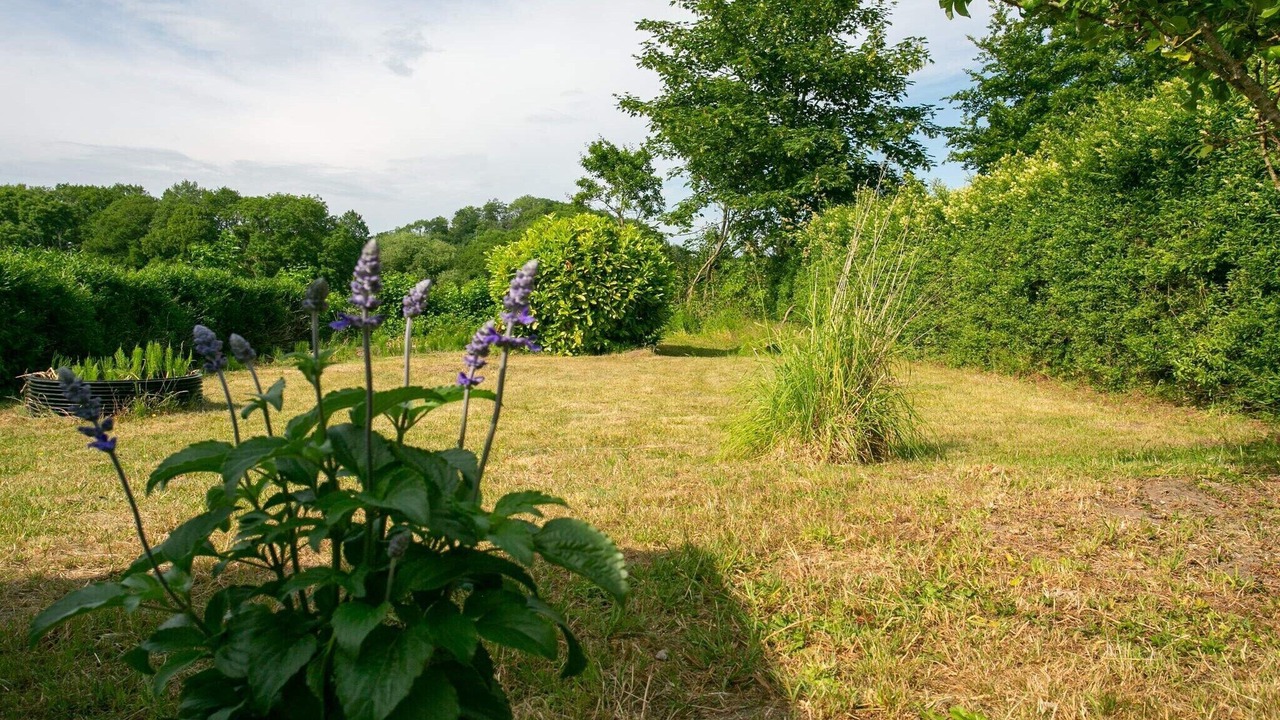 Photo of Outdoor in Humble