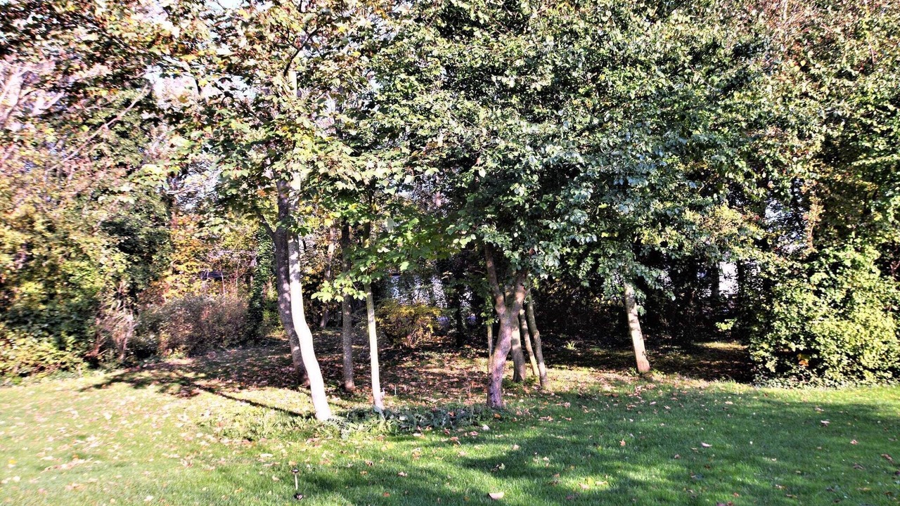 Photo of Others in Rodby