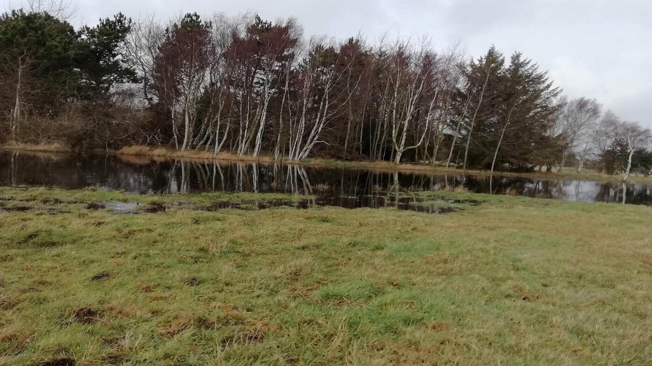 Photo of Others in Rodby