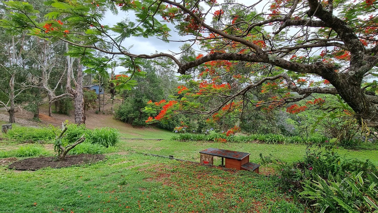Photo of Outdoor in West Woombye