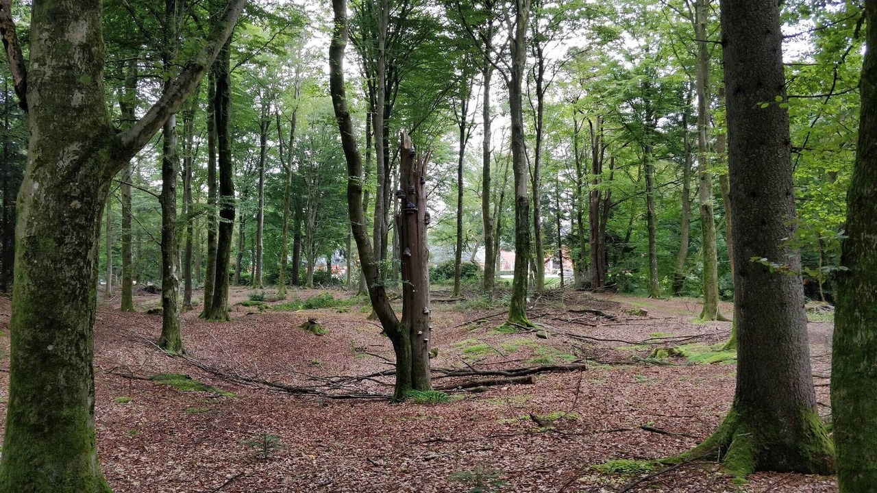 Photo of Others in Skarrild