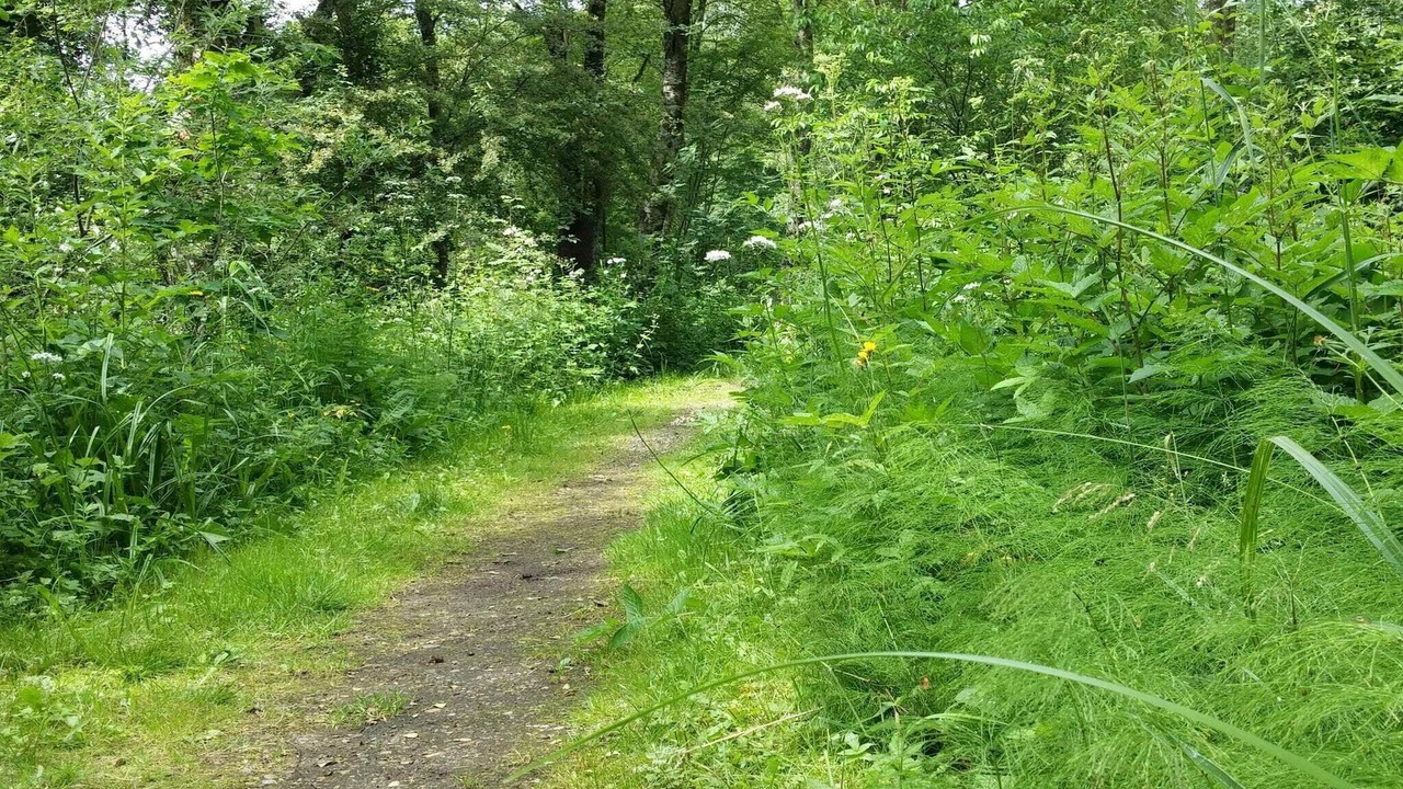 Photo of Outdoor in Skarrild