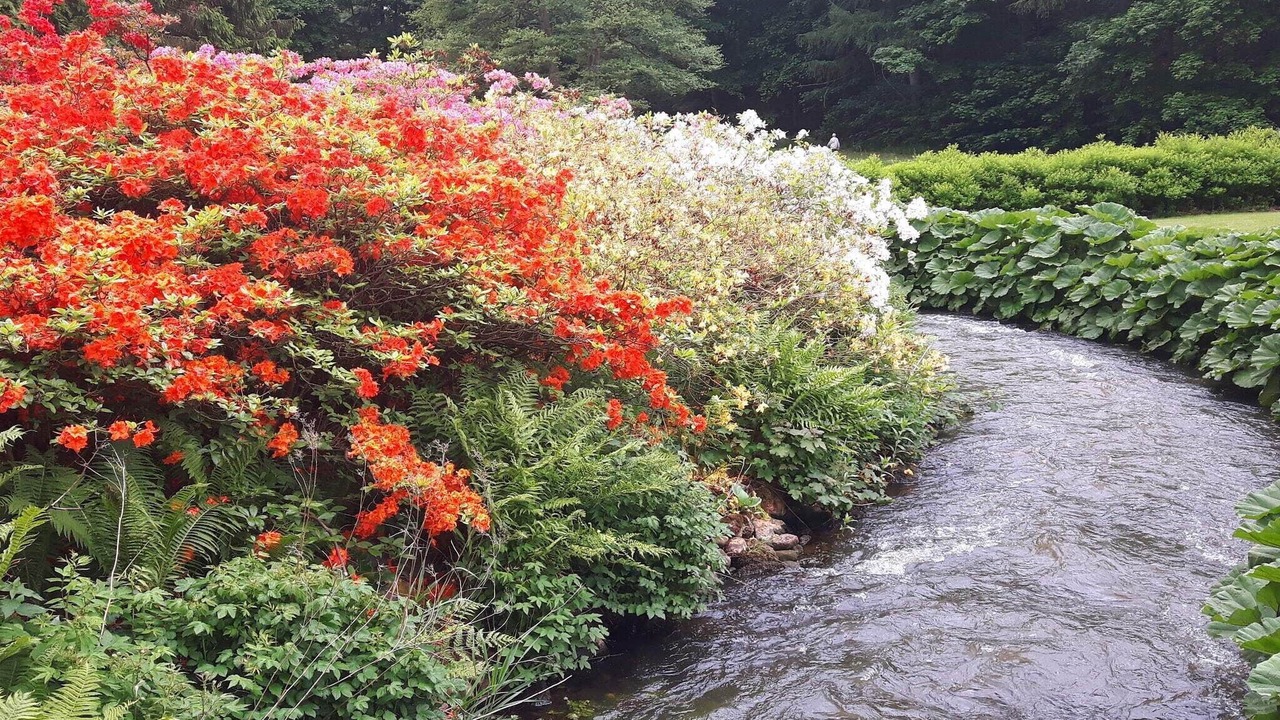 Photo of Outdoor in Skarrild
