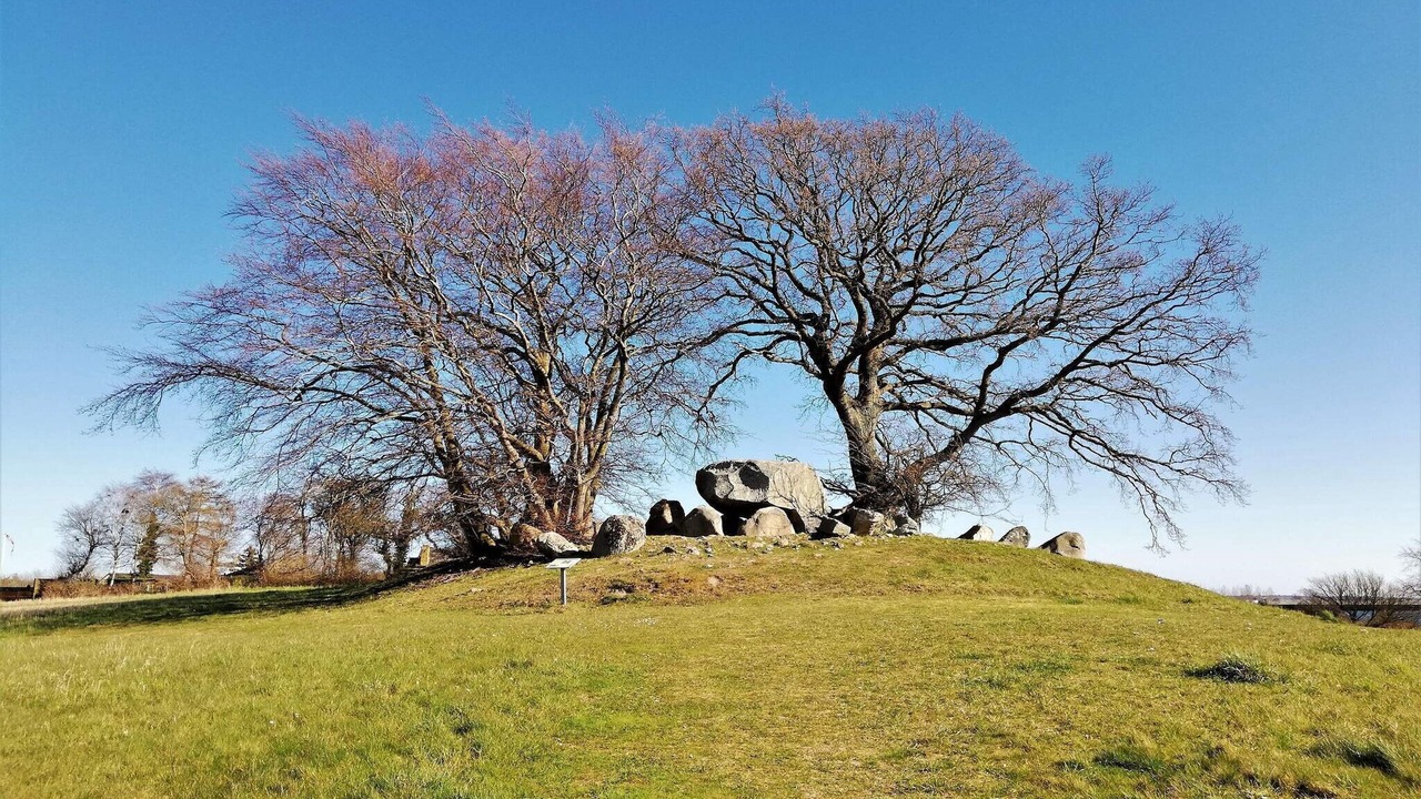 Photo of Others in Vordingborg
