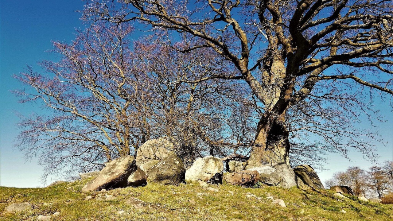 Photo of Others in Vordingborg