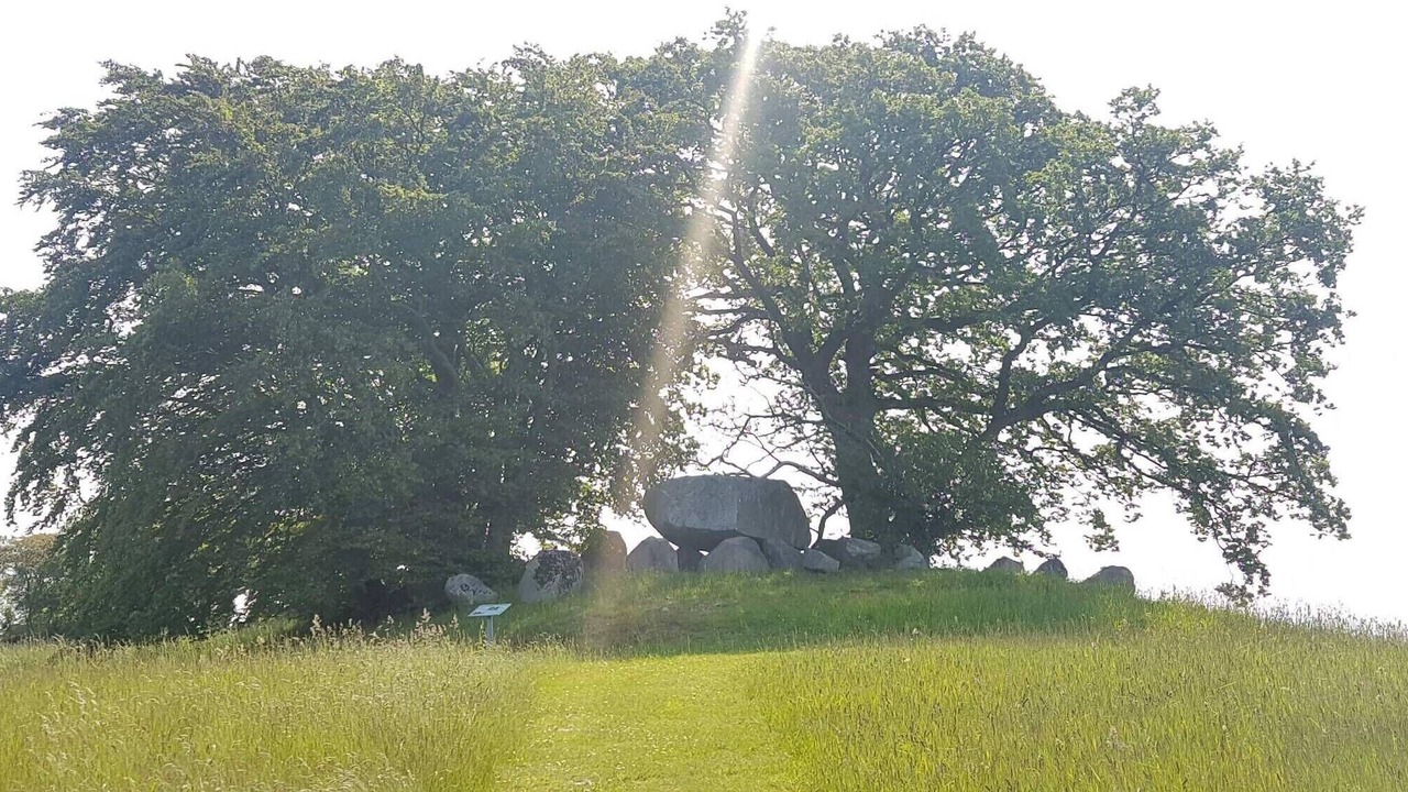 Photo of Others in Vordingborg