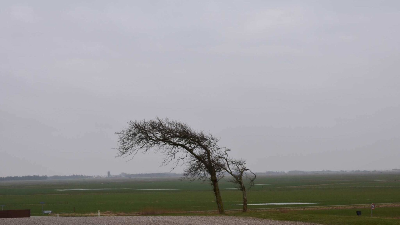 Photo of Others in Skaerbaek