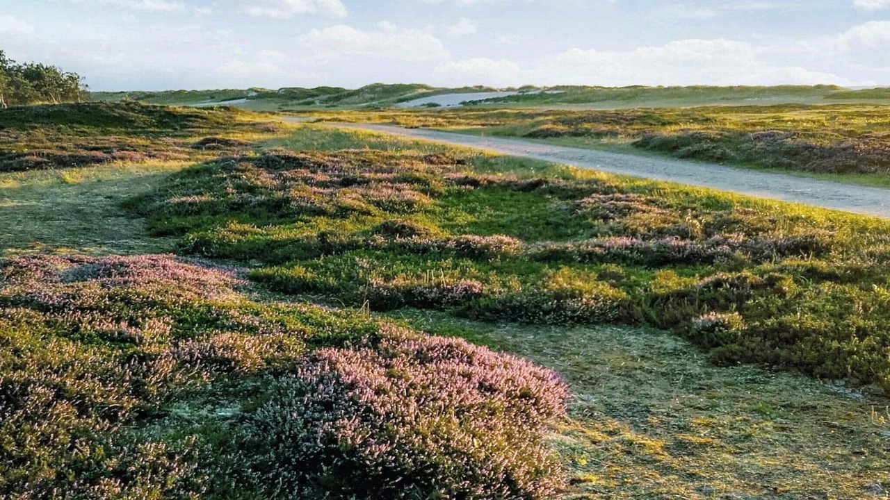 Photo of Outdoor in Nykøbing