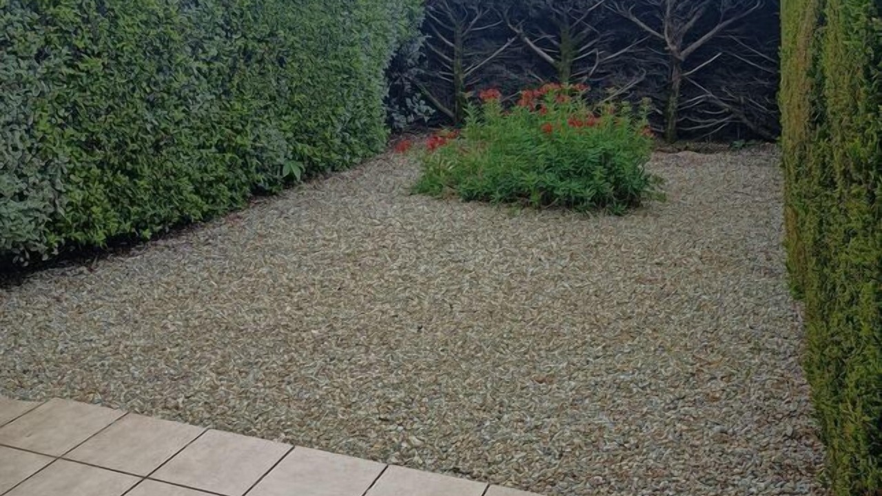 Photo of Outdoor in Damgan